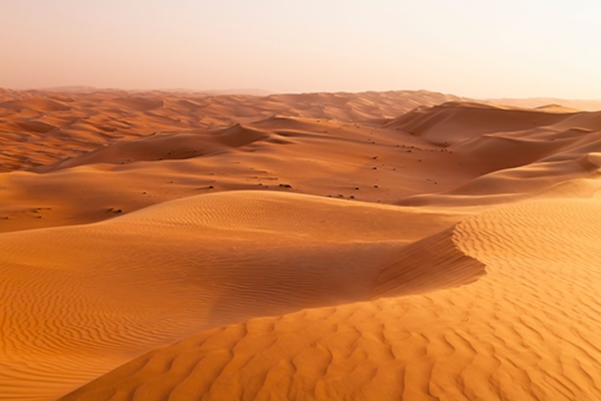 பாலைவன மணலில் சாலைகள் அமைக்கும் புதிய தொழில்நுட்பம் | A Road Made From Desert Sand