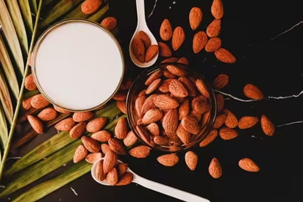 கோடை வெயிலால் அவதிப்படுபவர்களுக்கு நிவாரணம் தரும் பாதாம் | Almonds Provide Suffering From Summer Heat