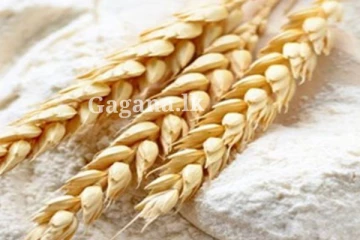 තිරිඟු පිටි මිල සඳහා අලුත්ම ක්‍රමවේදයක්..