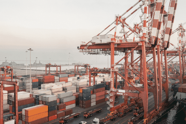 அரிசி இறக்குமதியில் 350 மில்லியன் டொலர் மிஞ்சியுள்ளது! | 350 Million Dollars In Rice Imports Exceeded