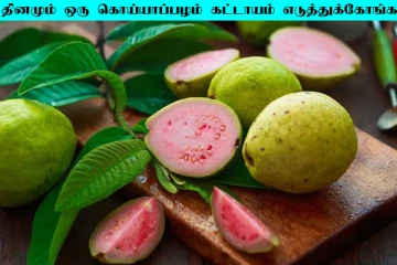 தினமும் ஒரு கொய்யாப்பழம் கட்டாயம் சாப்பிடுங்க... நன்மைகள் ஏராளம்