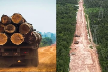 COP30 காலநிலை உச்சி மாநாட்டிற்காக அழிக்கப்படும் காடுகள்: அமேசான் நெடுஞ்சாலை சர்ச்சை