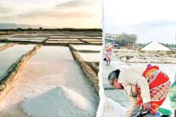 ලුණු ප්‍රශ්ණෙට රජයෙන් විසඳුමක් - වහාම ටෙන්ඩර් කැදවයි..