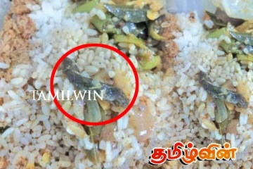 வைத்தியசாலையில் நோயாளிக்கு காத்திருந்த அதிர்ச்சி : மதிய உணவில் பல்லி