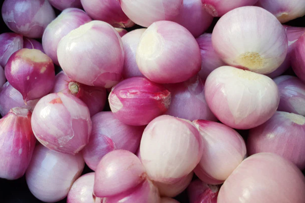 பல நோய்களுக்கு அருமருந்தாகும் சின்ன வெங்காயம் ; கண்டிப்பா தெரிஞ்சுக்கோங்க | Shallots Are A Powerful Remedy For Many Illnesses