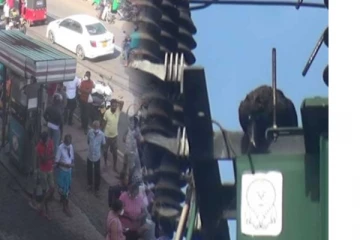 ඉන්ධන පිරවුම්හලක ඉන්ධන බෙදීම නතර කල කපුටා - මෙරටින් ඇසෙන අමුතුම පුවත..(VIDEO)