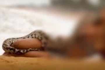 මහ පාරේ සර්පයෙකු කරේ දමාගෙන ගිය පුද්ගලයෙකුට අවසානයේ සිදු වූ දේ මෙන්න..