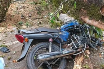 දරුණු අනතුරක් - යතුරුපැදිය මතට අත්තක් වැටි පියා-දියණිය රෝහලේ