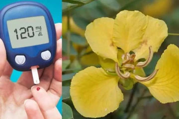 நீரிழிவு நோயாளிகளின் குழி புண்களை இயற்கையாக குணப்படுத்தலாமா? எச்சரிக்கை...