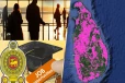 இலங்கையில் இலட்சக்கணக்கான வேலை வாய்ப்பு வெற்றிடங்கள்: அமைச்சர் வெளியிட்ட தகவல்