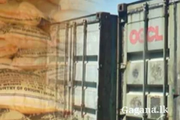 රජයට මිලියන 660ක් පාඩු කරන්නට ගිය නීති විරෝධී ආනයන බහාලුමක් රේගු භාරයට...