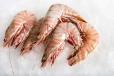 Prawns - Shrimp: இறாலை யாரெல்லாம் சாப்பிடக்கூடாது தெரியுமா...