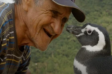 உயிரை காப்பாற்றிய முதியவரை காண 8000km பயணம் செய்யும் பென்குயின்