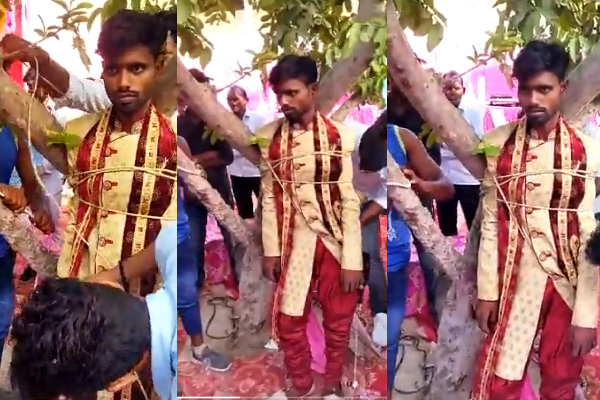 இதெல்லாம் ஒரு குத்தமாடா? தாலிகட்ட வந்த மாப்பிள்ளைக்கு நேர்ந்த கதி!(Video) | It Is Cruel To Tie The New Groom To A Tree
