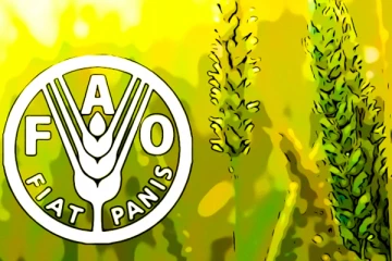 இலங்கையின் நிலை மோசமடையும் - ஐநா கடும் எச்சரிக்கை