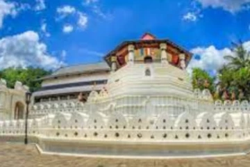 ව්‍යාජ දළදා මාලිගාවක් ගැන ජනපතිට විශේෂ ලිපියක්..!