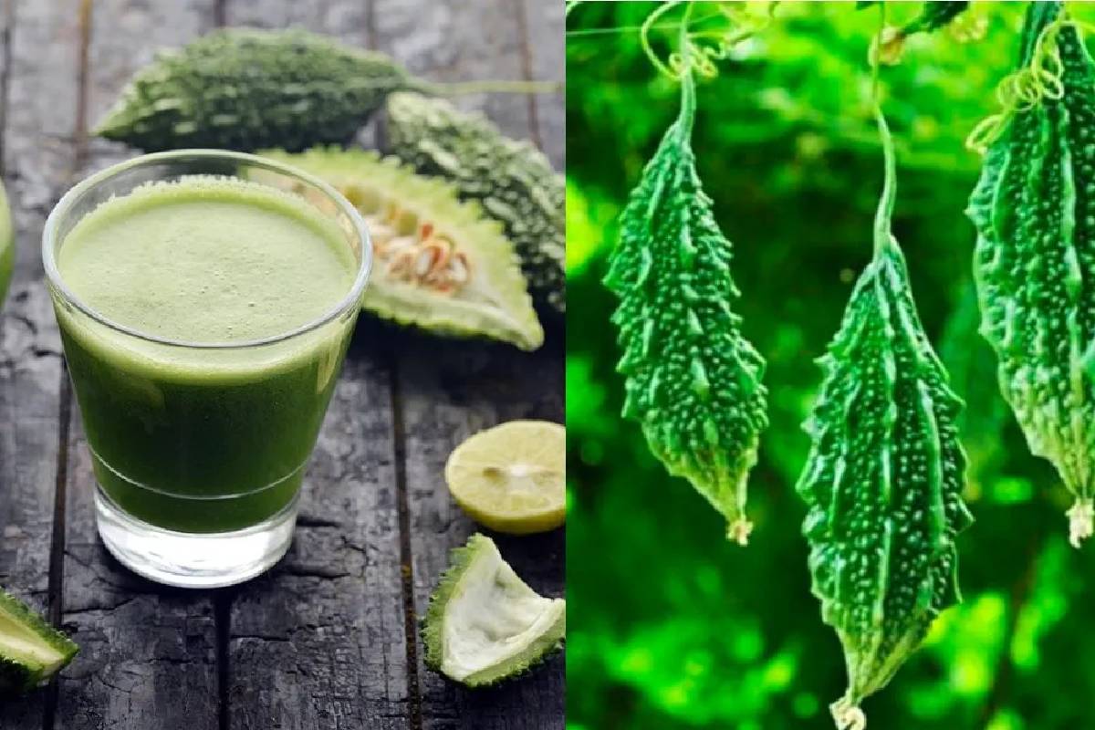 ரத்த சர்க்கரையை சட்னுன்னு குறைக்கணுமா? பாகற்காயை இப்படி சாப்பிடுங்க | Pavakkai Thokku Recipe For Diabetes