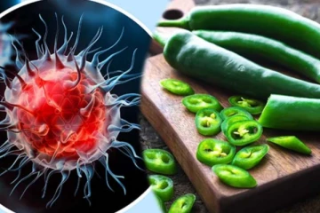 புற்றுநோய்க்கும், பச்சை மிளகாய்க்கும் என்ன சம்பந்தம்? பலரும் அறியாத உண்மை