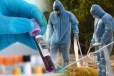 எபோலா அச்சுறுத்தல்: கொங்கோ - ருவாண்டா எல்லை மூடல்