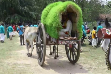 இலங்கை தமிழ் ஜோடியின் விசித்திர திருமணம்....உலகத்தை திரும்பி பார்க்க வைத்த ஈழத்தமிழர்கள்