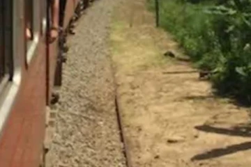 දුම්‍ රිය මැදිරි දෙකකට මැදිවූ තරුණ ජීවිතය..