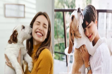 நாய் வளர்ப்பதால் மன அழுத்தம் குறையுமா? ஆய்வு தகவல்