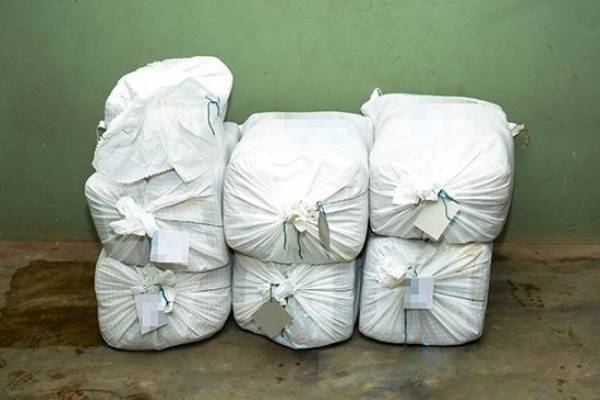 கடற்படையினரால் 59 மில்லியன் பெறுமதியான கேரள கஞ்சா மீட்பு - ஐபிசி தமிழ்