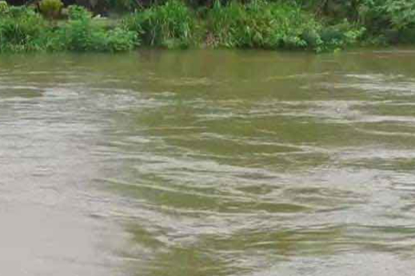 வெள்ளத்தில் அழிந்த பல ஏக்கர் கச்சான் செய்கை - நூற்றுக்கணக்கான விவசாயிகள் பாதிப்பு | Many Acres Of Paddy Fields Were Destroyed In Flood வெள்ளத்தில் அழிந்த பல ஏக்கர் கச்சான் செய்கை - நூற்றுக்கணக்கான விவசாயிகள் பாதிப்பு | Many Acres Of Paddy Fields Were Destroyed In Flood