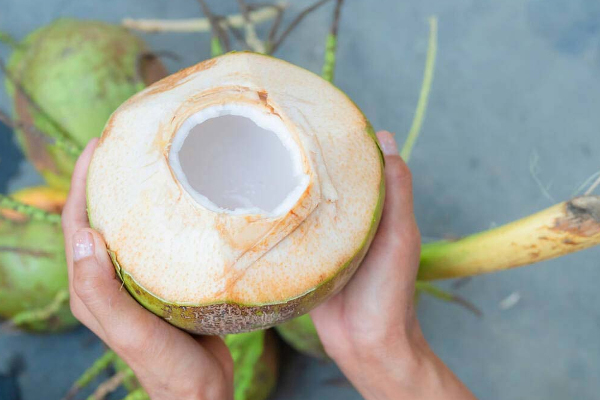 காய்ச்சலின் போது இளநீர் பருகுவது ஆரோக்கியமா? மருத்துவரின் பதில் இதோ | Coconut Water For Fever Benefits And Precautions