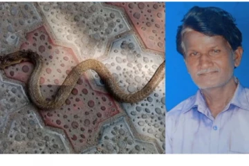 பணத்தை எடுக்க பெட்டிக்குள் கைவிட்ட கூலித்தொழிலாளி - கடைசியில் நடந்த சோகம்