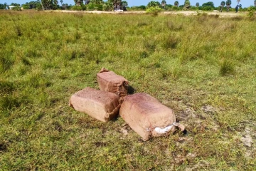 96 கிலோகிராம் கேரள கஞ்சா மீட்பு