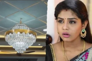 பிரம்மாண்டமாக இருக்கும் பாண்டியன் ஸ்டோர்ஸ் மீனாவின் புதிய வீடு- முழுவதும் முடிந்து அவரே வெளியிட்ட வீடியோ