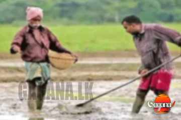 ගොවි විශ්‍රාම වැටුප් ගැන නිවේදනයක්