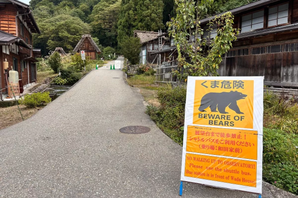 கரடிகளுக்கு இரையான இளம்பெண்: மகளின் கதறலை மொபைலில் கேட்டு தவித்த தாய் | Teen Killed By Bear Mom Hears Scream In Phone கரடிகளுக்கு இரையான இளம்பெண்: மகளின் கதறலை மொபைலில் கேட்டு தவித்த தாய் | Teen Killed By Bear Mom Hears Scream In Phone