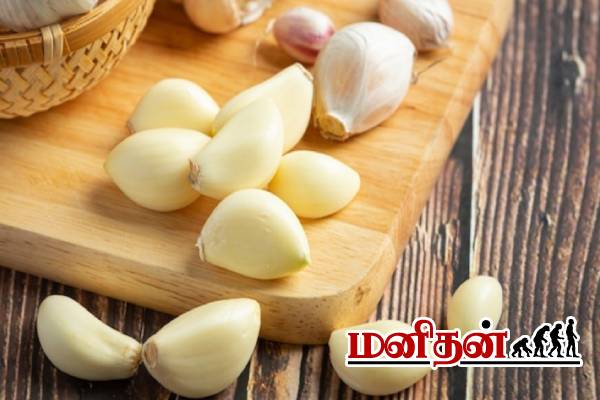 பூண்டை பச்சையாக மென்று சாப்பிட்டால் என்ன நடக்கும்? 30 நாட்கள் முயற்சி! | Garlic At Morning Time For 30 Days Benefits பூண்டை பச்சையாக மென்று சாப்பிட்டால் என்ன நடக்கும்? 30 நாட்கள் முயற்சி! | Garlic At Morning Time For 30 Days Benefits