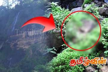 400 அடி உயரத்தில் இருந்து விழுந்த இளைஞன்: சிதறிக் கிடந்த உடல்