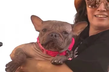 பல இலட்சம் பரிசு வென்ற உலகின் 'அசிங்கமான நாய்'