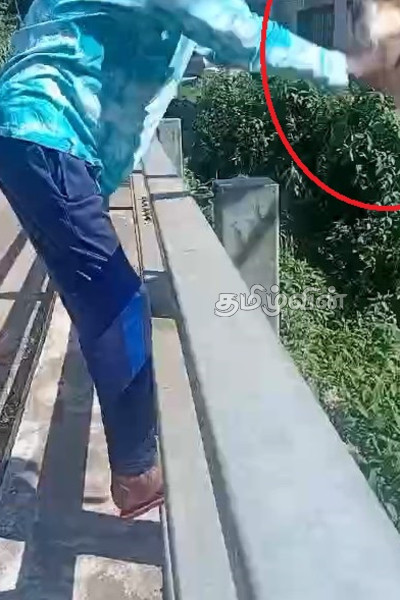 நானுஓயாவில் கொடூரமாக தாக்கப்பட்ட நாய்! பதைபதைக்க வைக்கும் காணொளி.. | Dog Brutally Attacked And Tortured In Nanu Oya