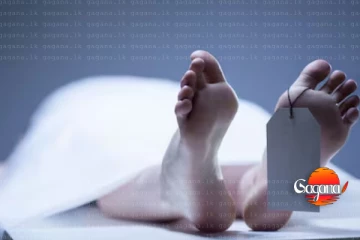 දෙයියනේ දුව ළඟට ගිය මවට වුණ ඛේදවාචකය