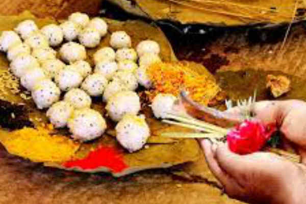 பித்ருக்களின் ஆசிகிடைக்கும் ஆடிஅமாவாசை ; மறக்காமல் இதெல்லாம் செய்யுங்கள்! | Aadi Amavasaiya Auspicious Of The Pitrus