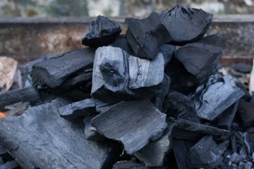 சார்க்கோலை சாதாரணமாக நினைச்சுடாதீங்க! அதில் பல நன்மைகள் ஒளிந்துள்ளதாம்