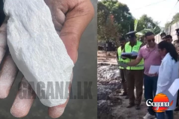 බිලියන 2ක වටින පද්මෙගෙ බඩු මිද්දෙණියෙන් මතුවෙද්දීම ‘පොහොට්ටුවේ සහෝදරයෝ’ පලායති