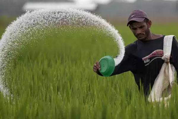 இன்று முதல் நடைமுறைக்கு வரும் விலை குறைப்பு! அமைச்சர் வெளியிட்டுள்ள அறிவிப்பு | Urea Fertilizer Pack Price In Sri Lanka