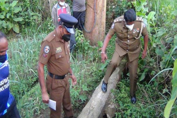 தேயிலை தோட்டத்தில் இருந்து சடலமாக மீட்கப்பட்ட இளம் குடும்ப பெண்! | Young Woman Body Recovered From The Tea Garden