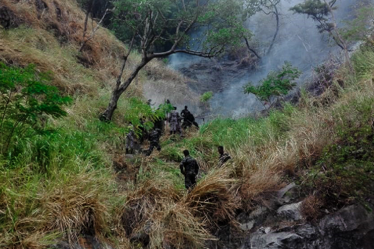 காட்டுக்கு தீ வைத்த சந்தேக நபருக்கு ரூ. 91,100 அபராதம் | Suspect Set Fire To Forest Fined Rs 91 100 Hatton