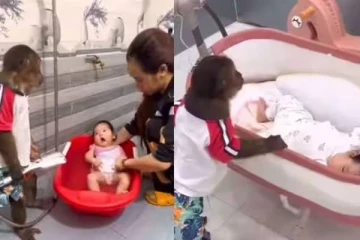 Viral Video: Tired ஆ எனக்கா? குரங்கு செய்யும் வேலைகள்