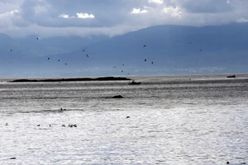 கனடிய இராணுவம் விடுத்துள்ள எச்சரிக்கை