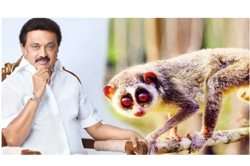 மாஸ் காட்டிய தமிழக முதலமைச்சர் - இந்தியாவிலேயே முதல்முறையாக 11,806 ஹெக்டேர் பரப்பளவில் தேவாங்கு சரணாலயம்...!