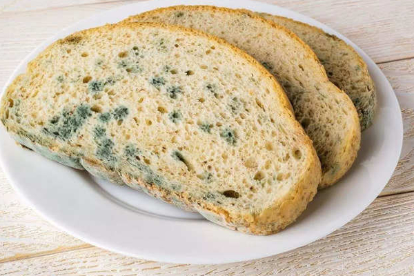 பூஞ்சை படிந்த பிரட் சாப்பிட்டால் என்ன நடக்கும் தெரியுமா? உயிருக்கே ஆபத்து! | Health Health Affects Of Eating Spoiled Bread