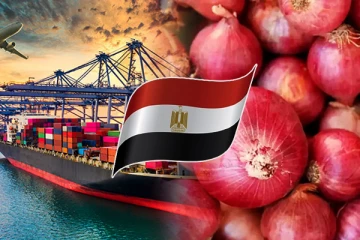 பெரிய வெங்காய இறக்குமதி தொடர்பில் எகிப்துடன் விசேட பேச்சுவார்த்தை